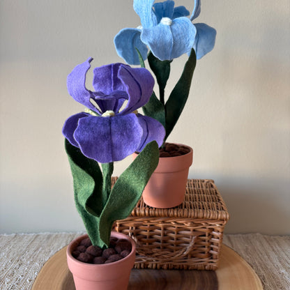 Felt Iris in Purple or Blue