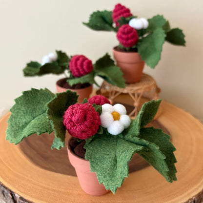 Strawberry Felt Plant: Macrame and Felt