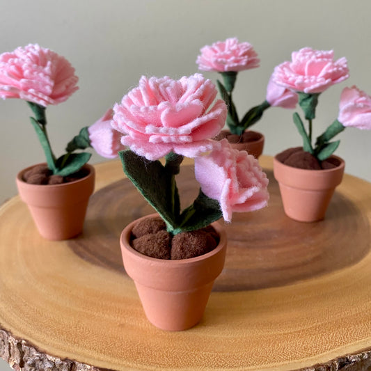 (Birth Month Flowers- Jan) Carnation