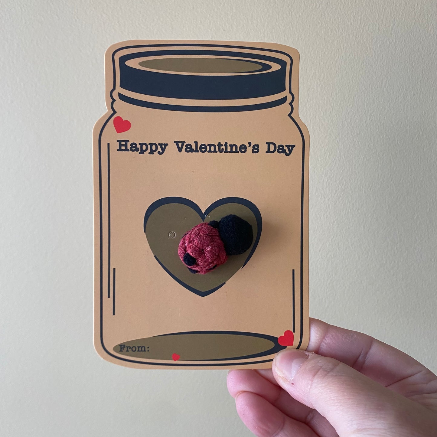 Valentine Card/Plant Charm/Macrame Bug Magnet