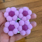 Flower Magnet Set