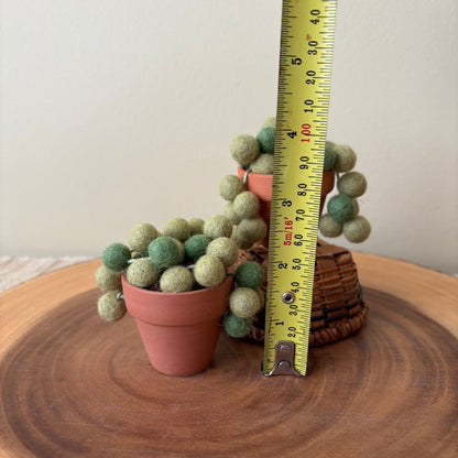 String of Pearls