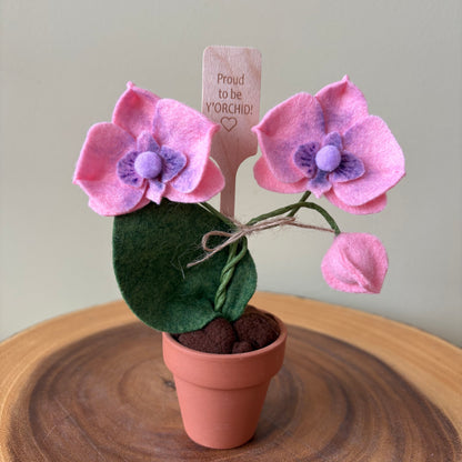 Proud to be Y’Orchid Felt Forever Orchid