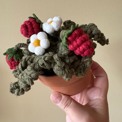 Strawberry Plant: Macrame and Felt