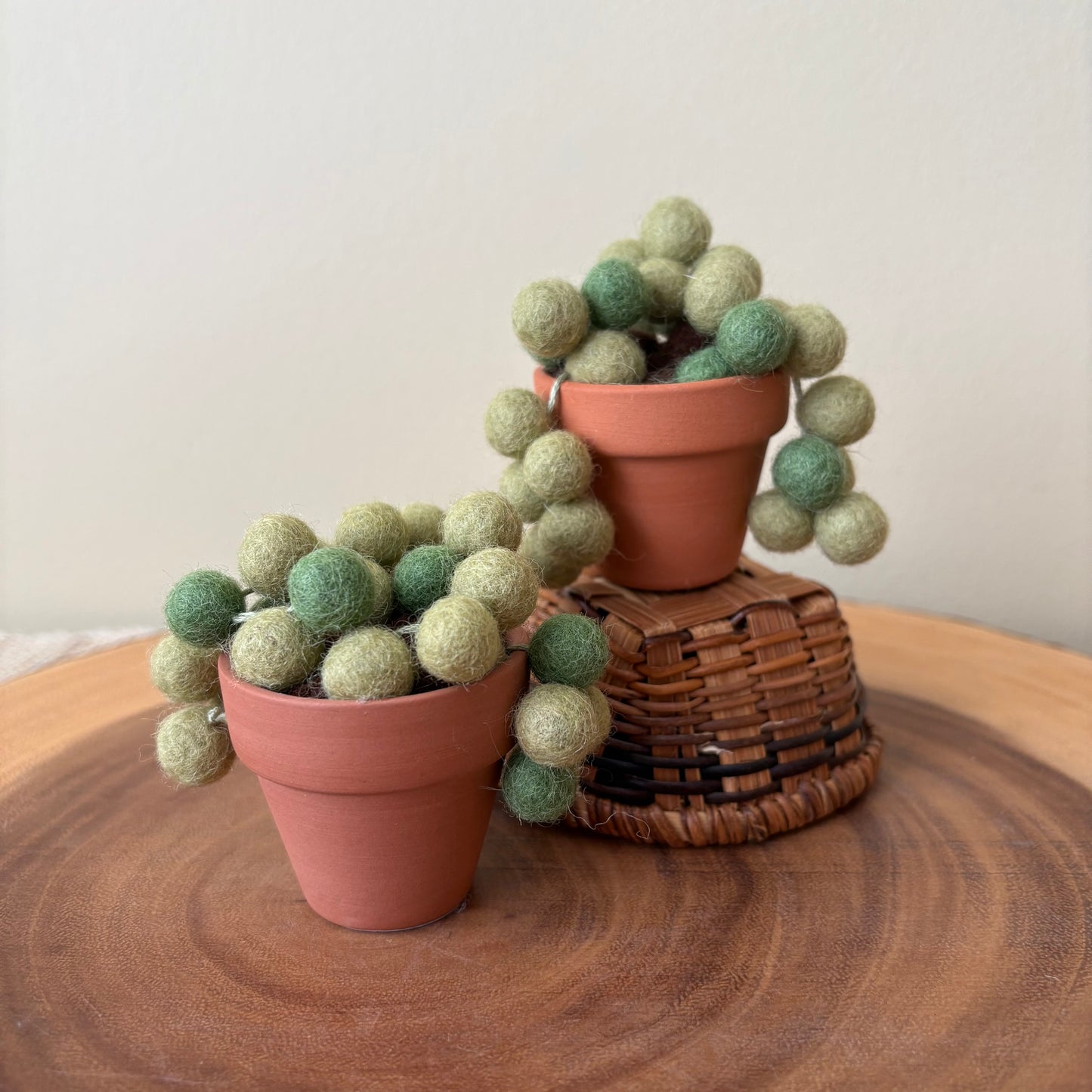 String of Pearls