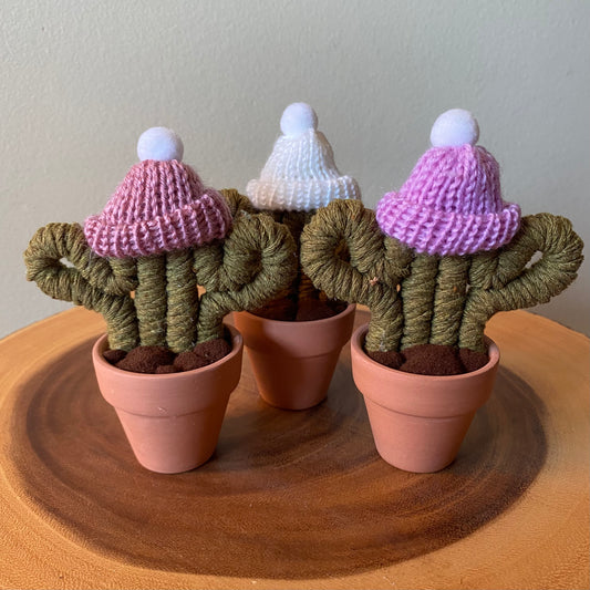 Cactus - Mini with Hat