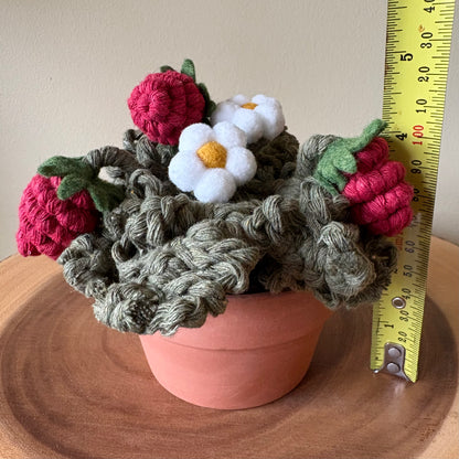 Strawberry Plant: Macrame and Felt