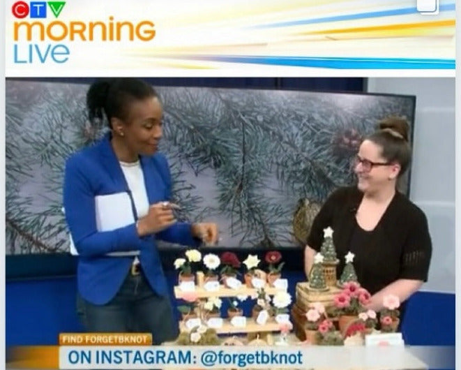 Rosie Edeh of CTV Mornign Live and Brenda of ForgetBKnot on a TV set
